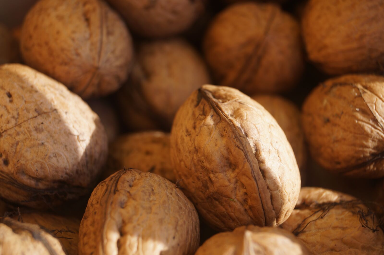 Sony SLT-A37 sample photo. Nuts, walnuts, brown photography