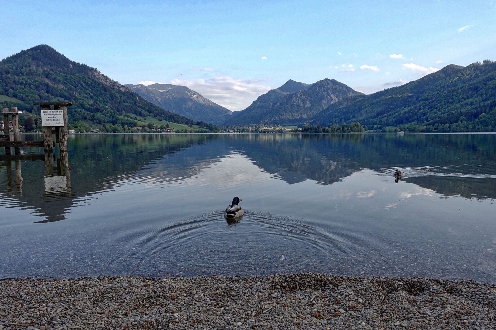 Sony Cyber-shot DSC-RX100 III sample photo. Lake, mountains, duck photography