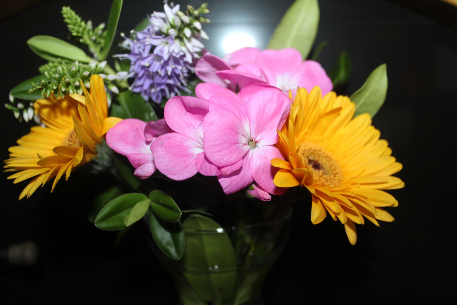 Canon EOS 500D (EOS Rebel T1i / EOS Kiss X3) sample photo. Bouquet of flowers, garden photography