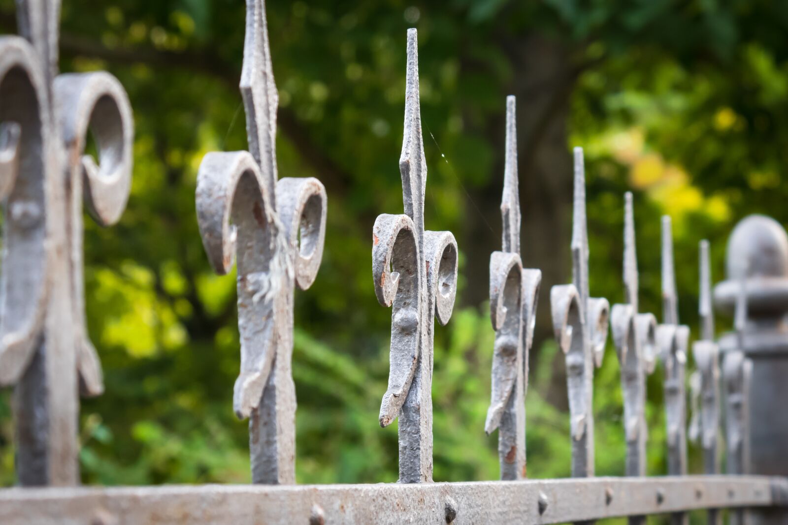 Canon PowerShot G3 X sample photo. Fence, cast iron, fencing photography