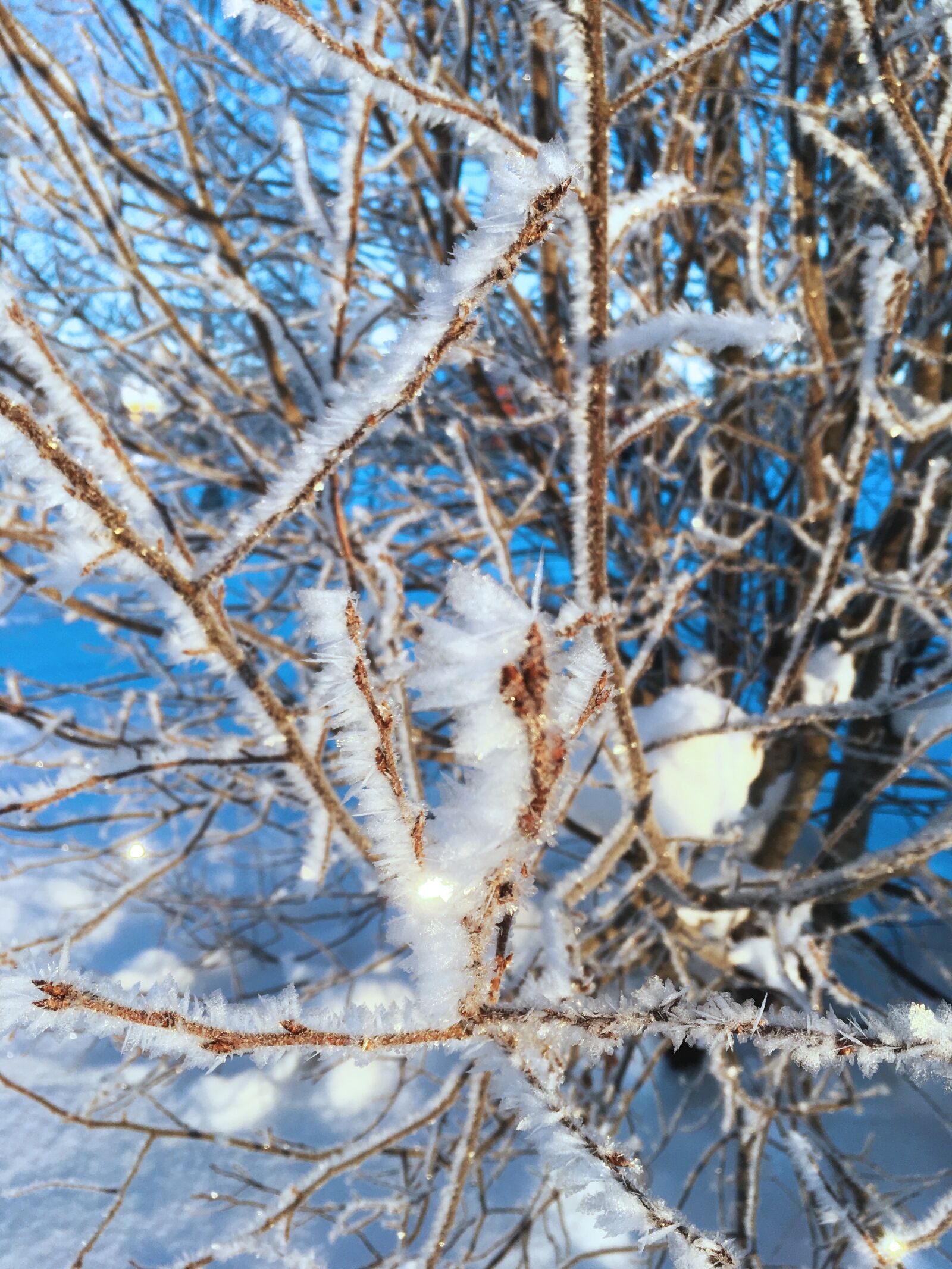 Apple iPhone SE sample photo. Ultervattnet, morning, winter photography