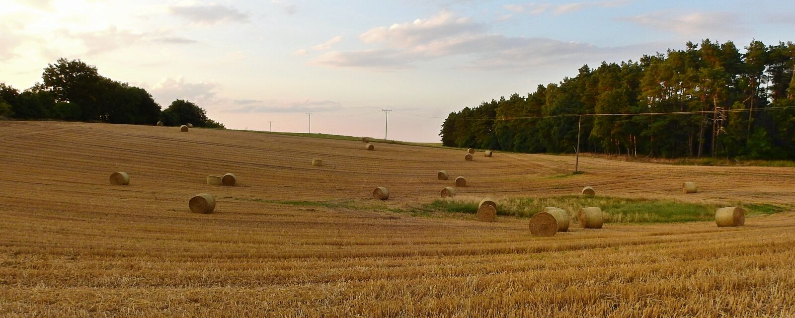 Nikon Coolpix P900 sample photo. Harvest, straw bales, stubble photography