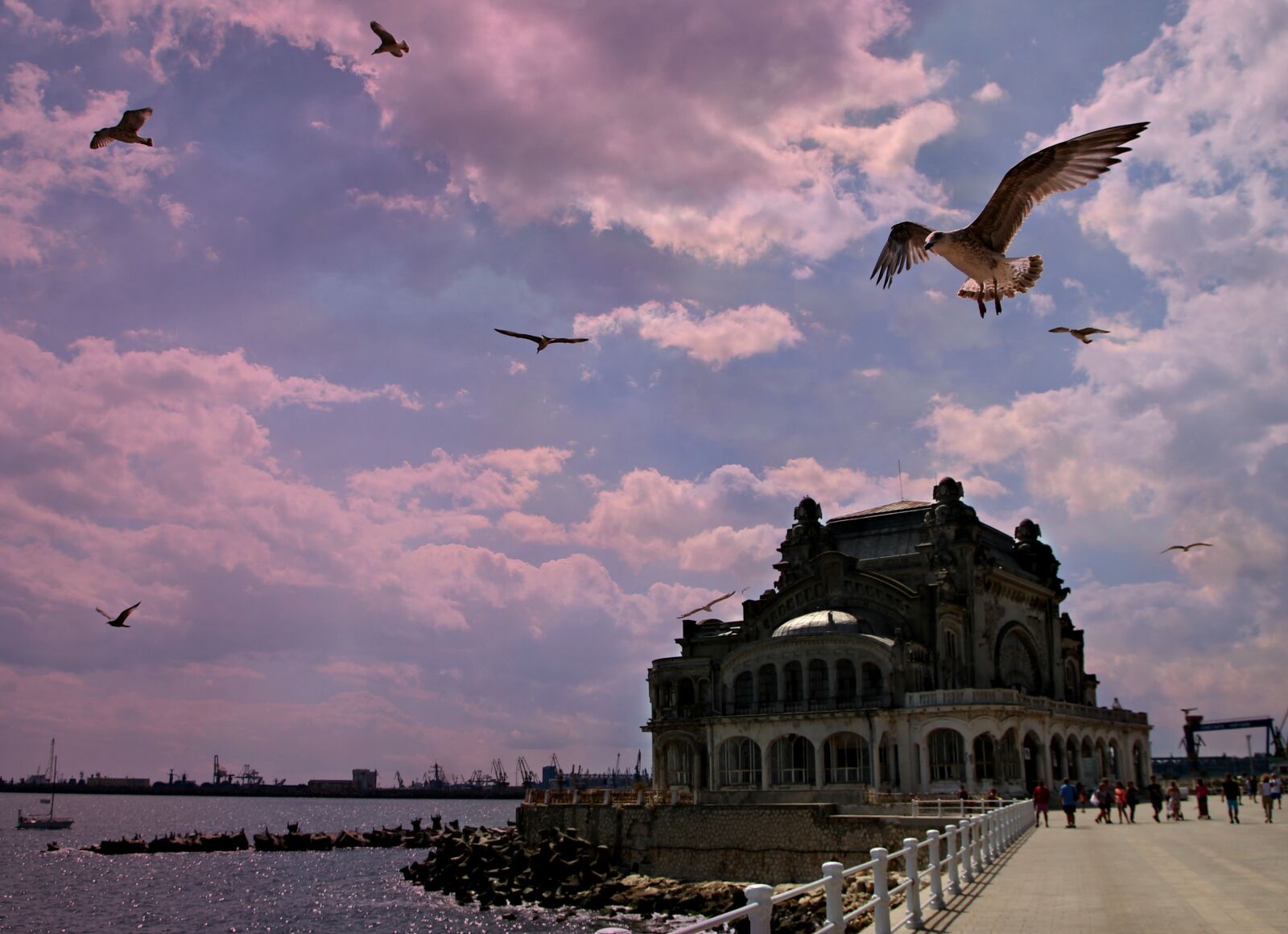 Canon EOS 700D (EOS Rebel T5i / EOS Kiss X7i) sample photo. Casino, constanta, seagulls photography