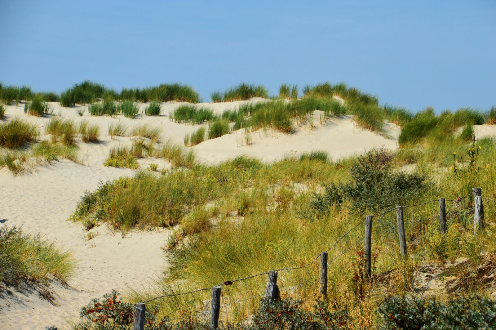 Nikon D3200 sample photo. Sea, beach, hauts de photography