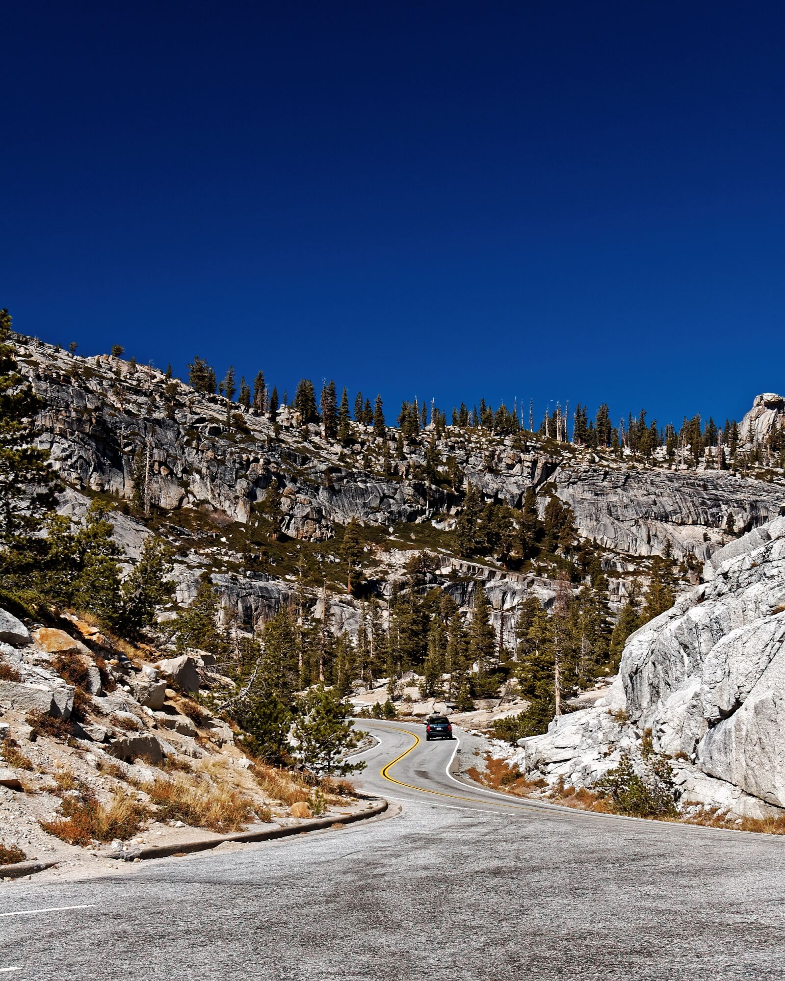 Nikon D50 sample photo. Road, california, national park photography