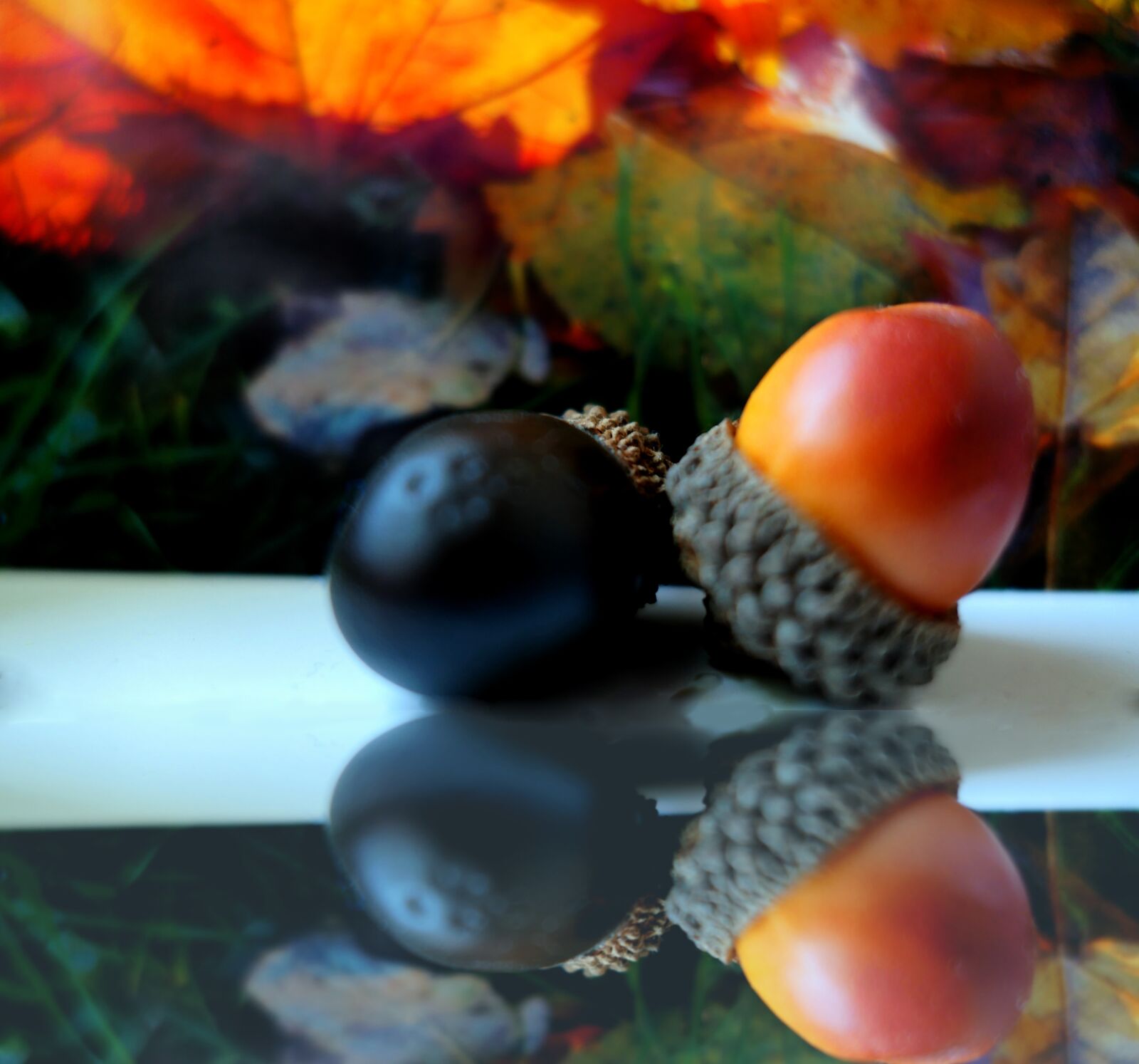 Panasonic Lumix DMC-LX10 (Lumix DMC-LX15) sample photo. Autumn, deco, herbstdeko photography