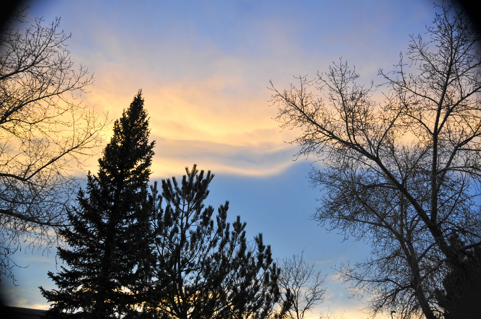 Nikon D300 sample photo