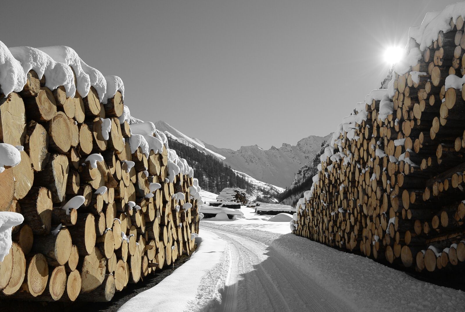 Nikon 1 S1 sample photo. Wood, snow, samnaun photography