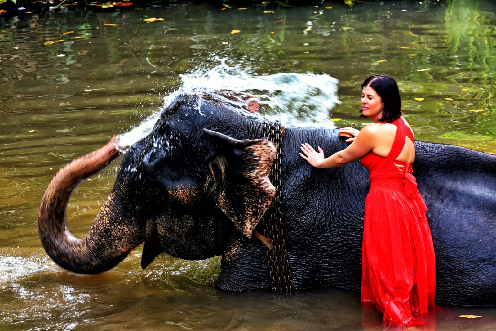 Nikon D7200 sample photo. Elephant, woman, squirt photography