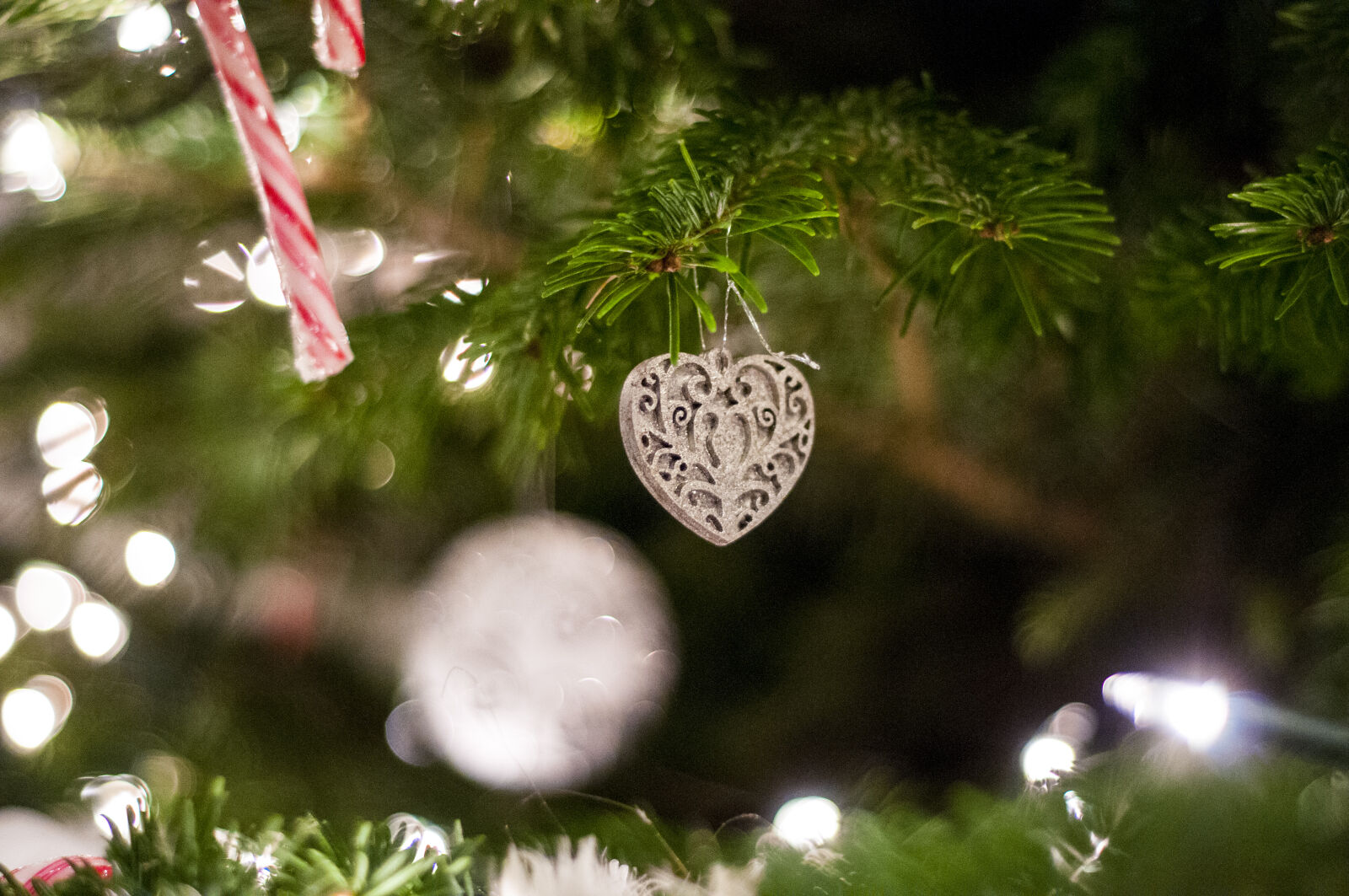 Nikon AF Nikkor 50mm F1.8D sample photo. Theme, christmas photography