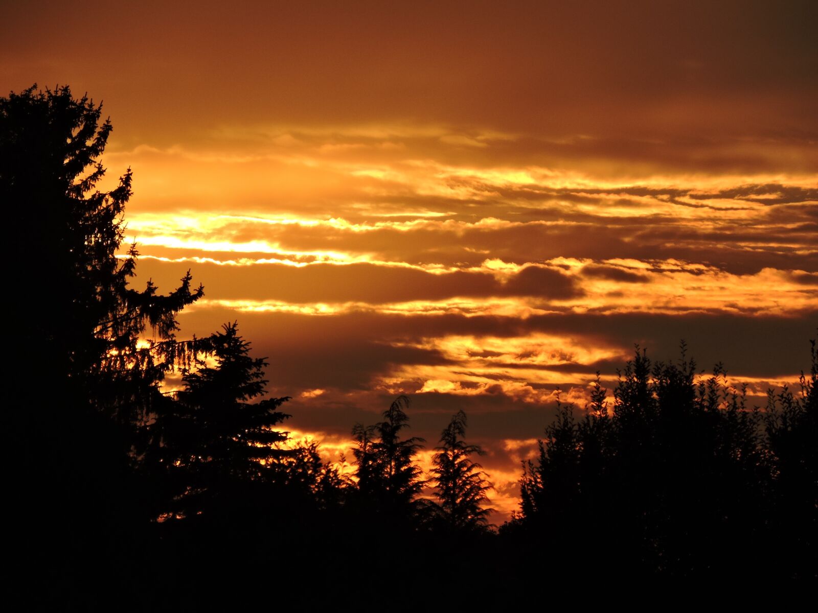Nikon Coolpix P530 sample photo. Sunset, clouds, orange photography