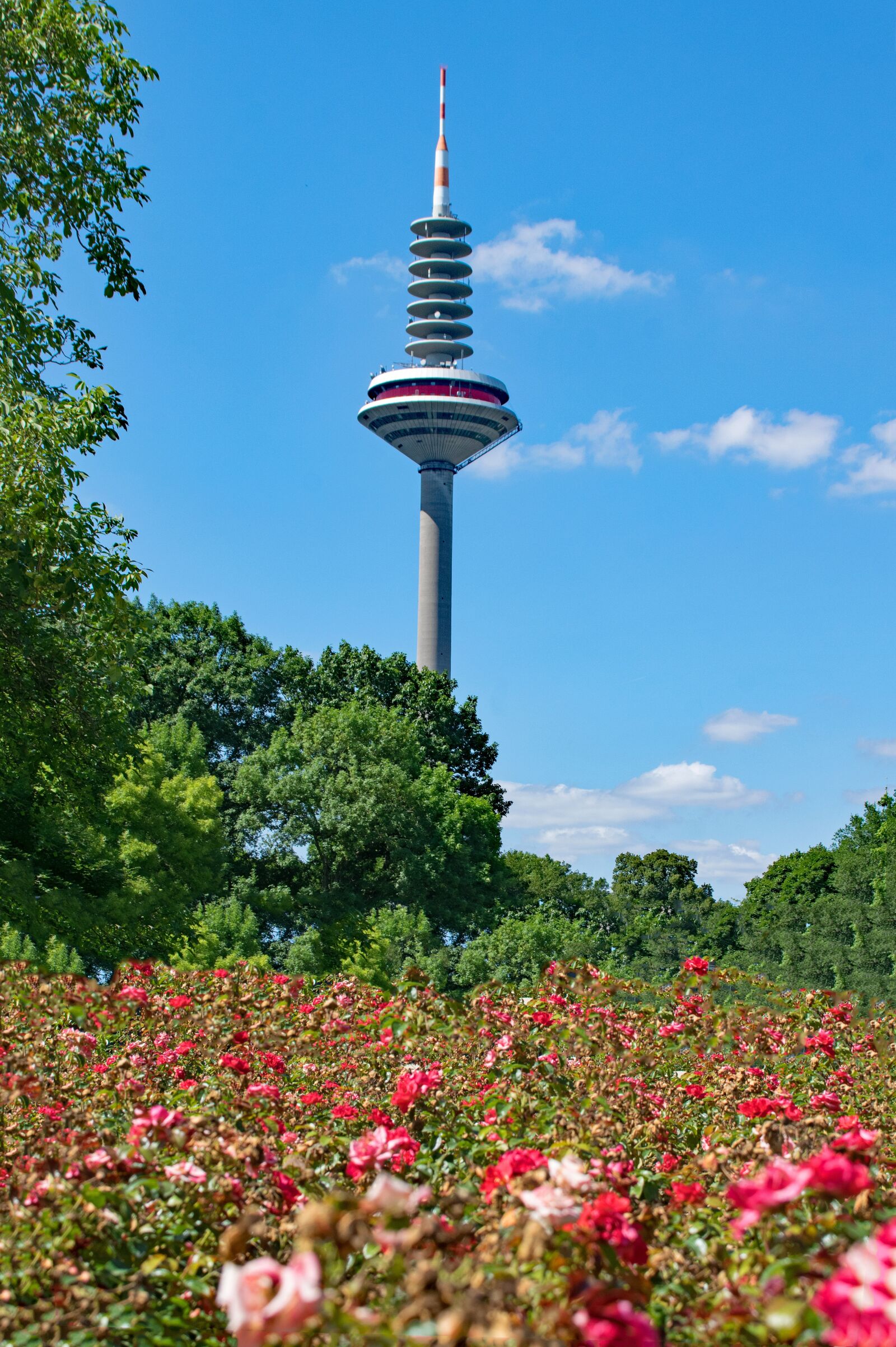 Nikon D5300 sample photo. Green castle park, frankfurt photography