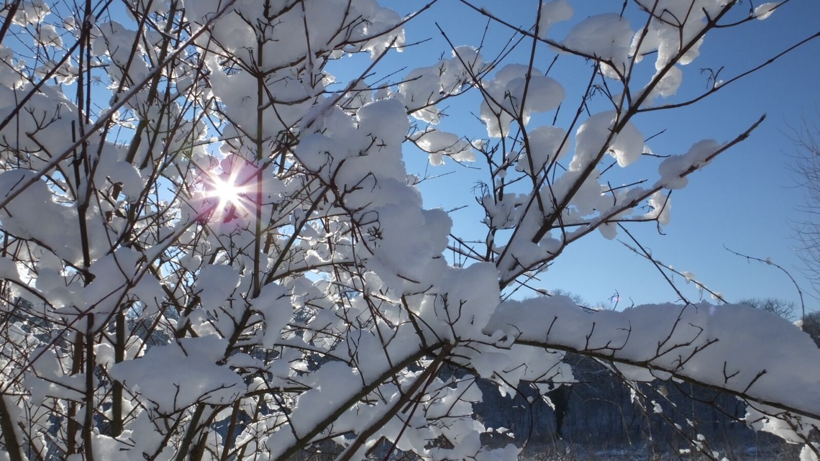 Fujifilm FinePix HS50 EXR sample photo. Winter, sun, january photography