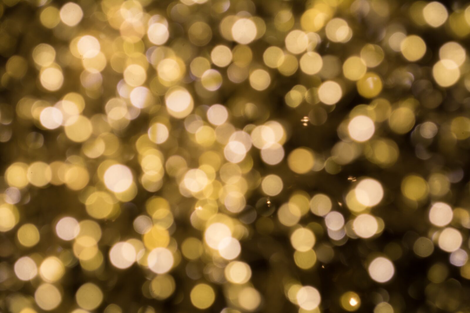 Nikon D7100 sample photo. Bokeh, yellow, background photography