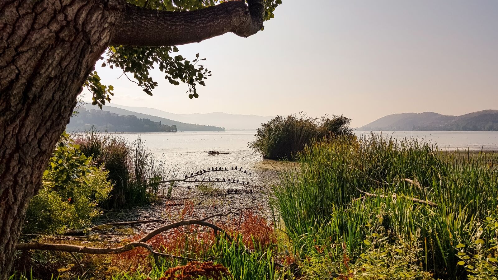 Samsung Galaxy S8 sample photo. Kastoria, lake, greece photography