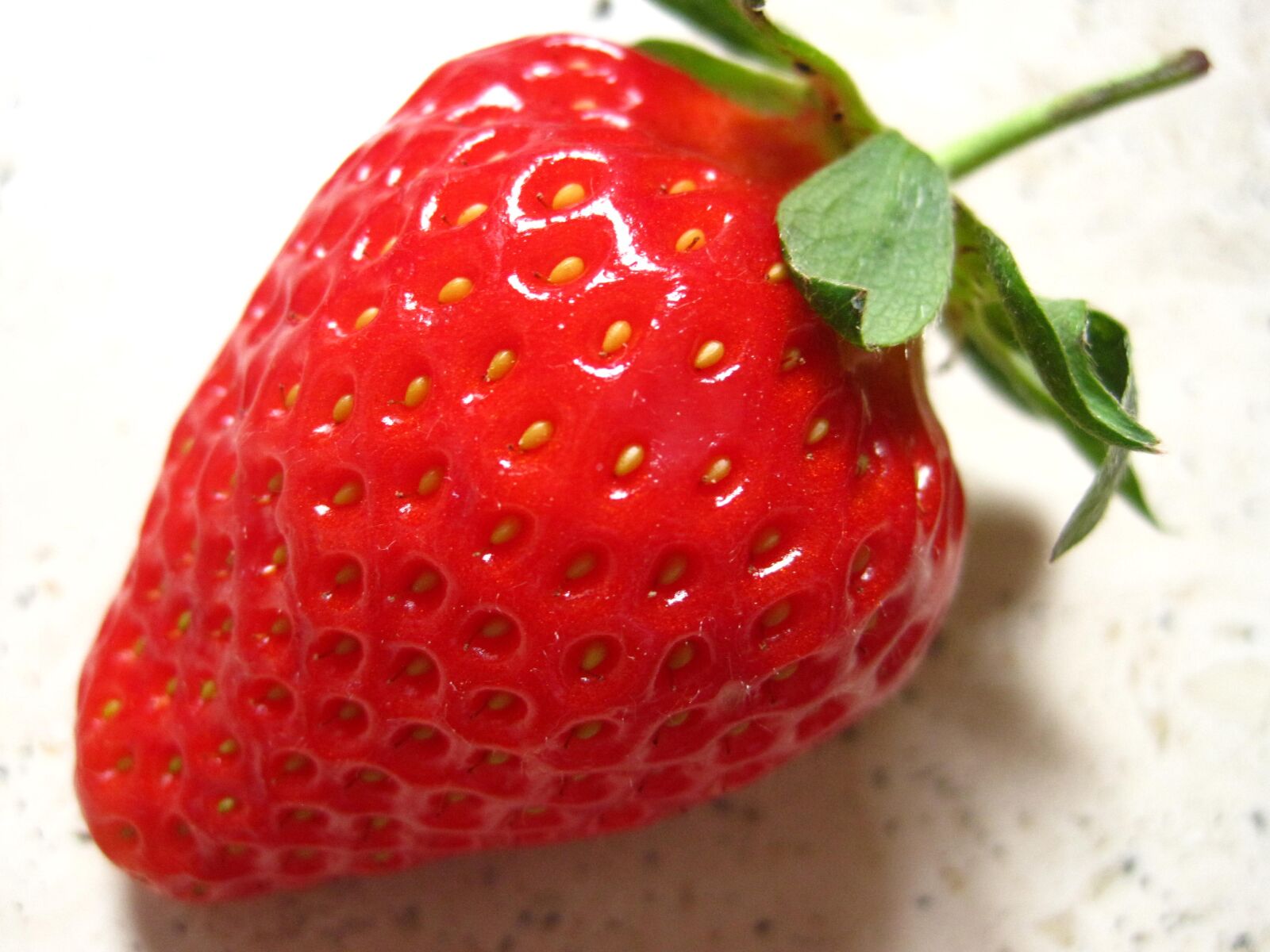 Canon PowerShot SD1200 IS (Digital IXUS 95 IS / IXY Digital 110 IS) sample photo. Strawberry, fragaria, slip fruit photography