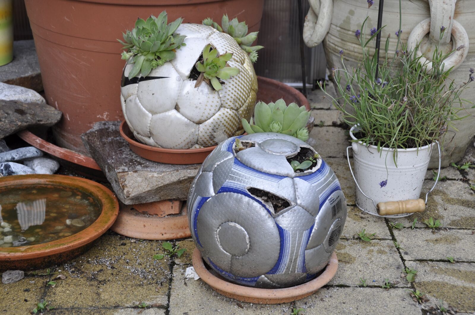Nikon D90 sample photo. Diy, football, plant photography