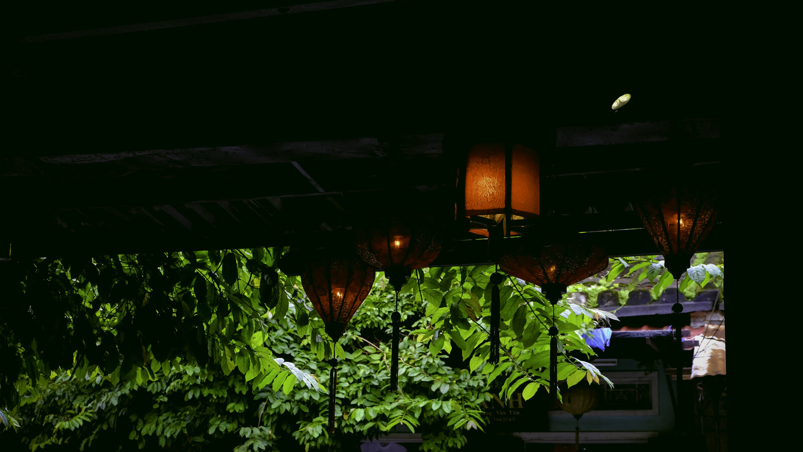 Fujifilm X-T10 sample photo