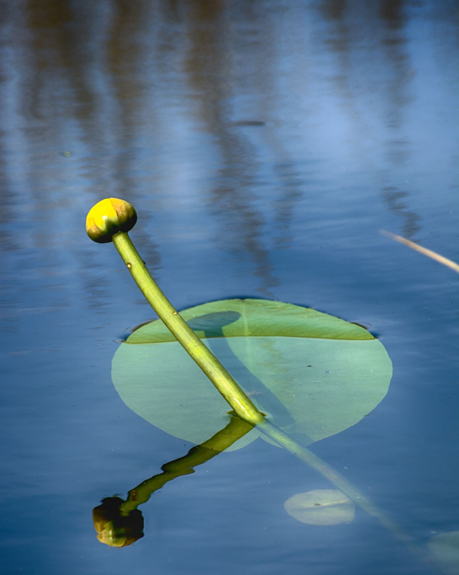 Nikon D7100 sample photo. Body of water, nature photography