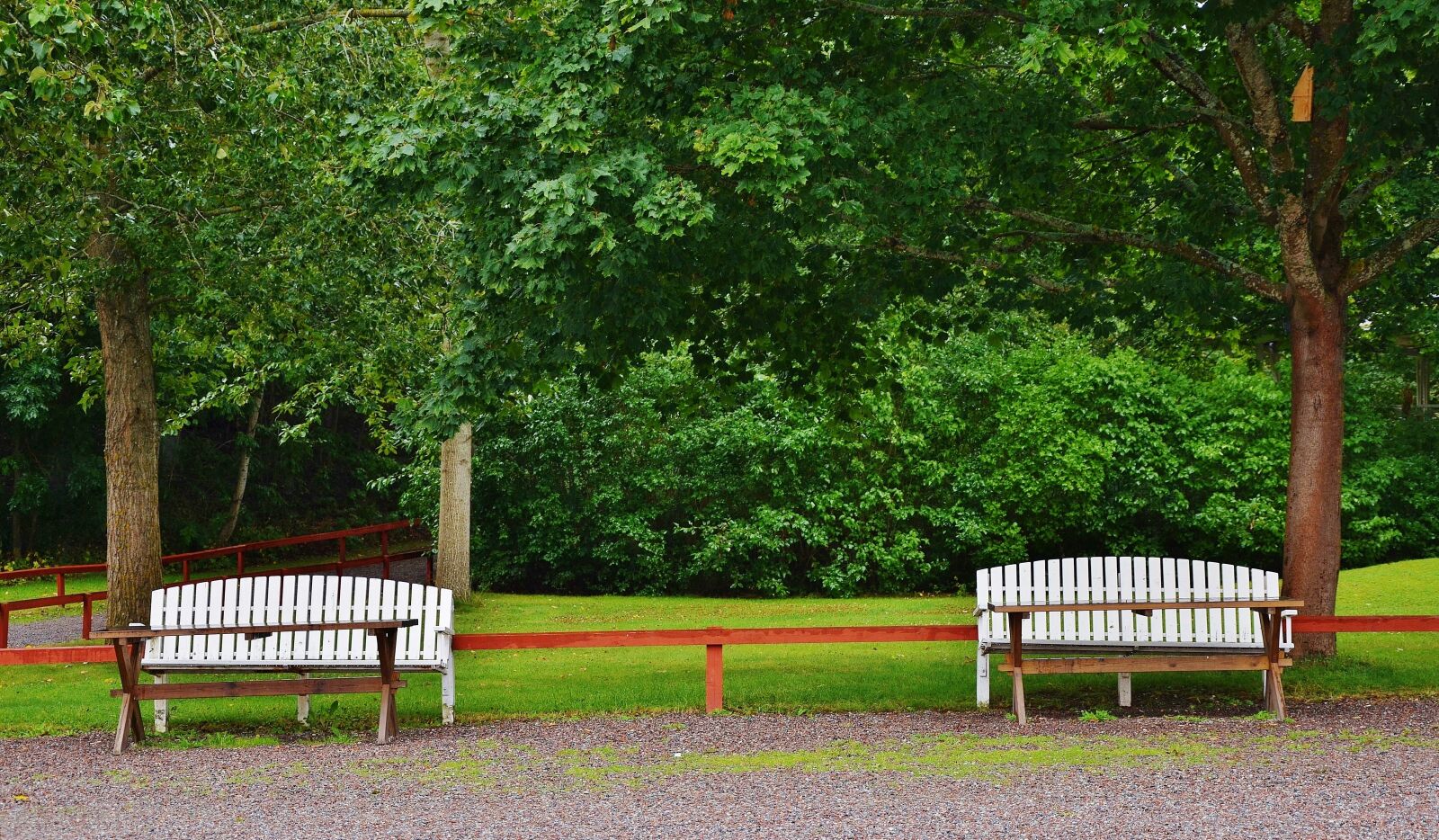 Nikon D7000 sample photo. Bench, park, sit photography