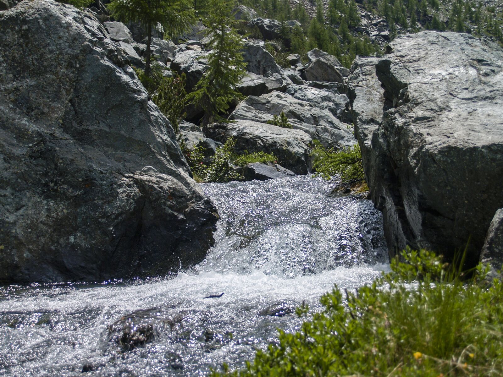 Olympus E-300 (EVOLT E-300) sample photo. Stream, river, torrent photography