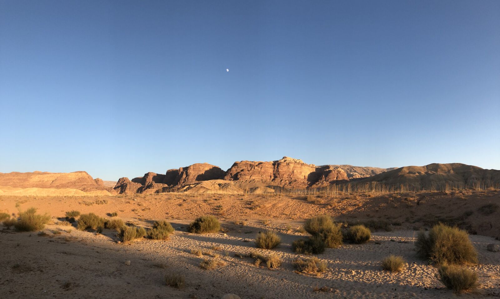 iPhone X back camera 4mm f/1.8 sample photo. Photo, of, a, dessert photography