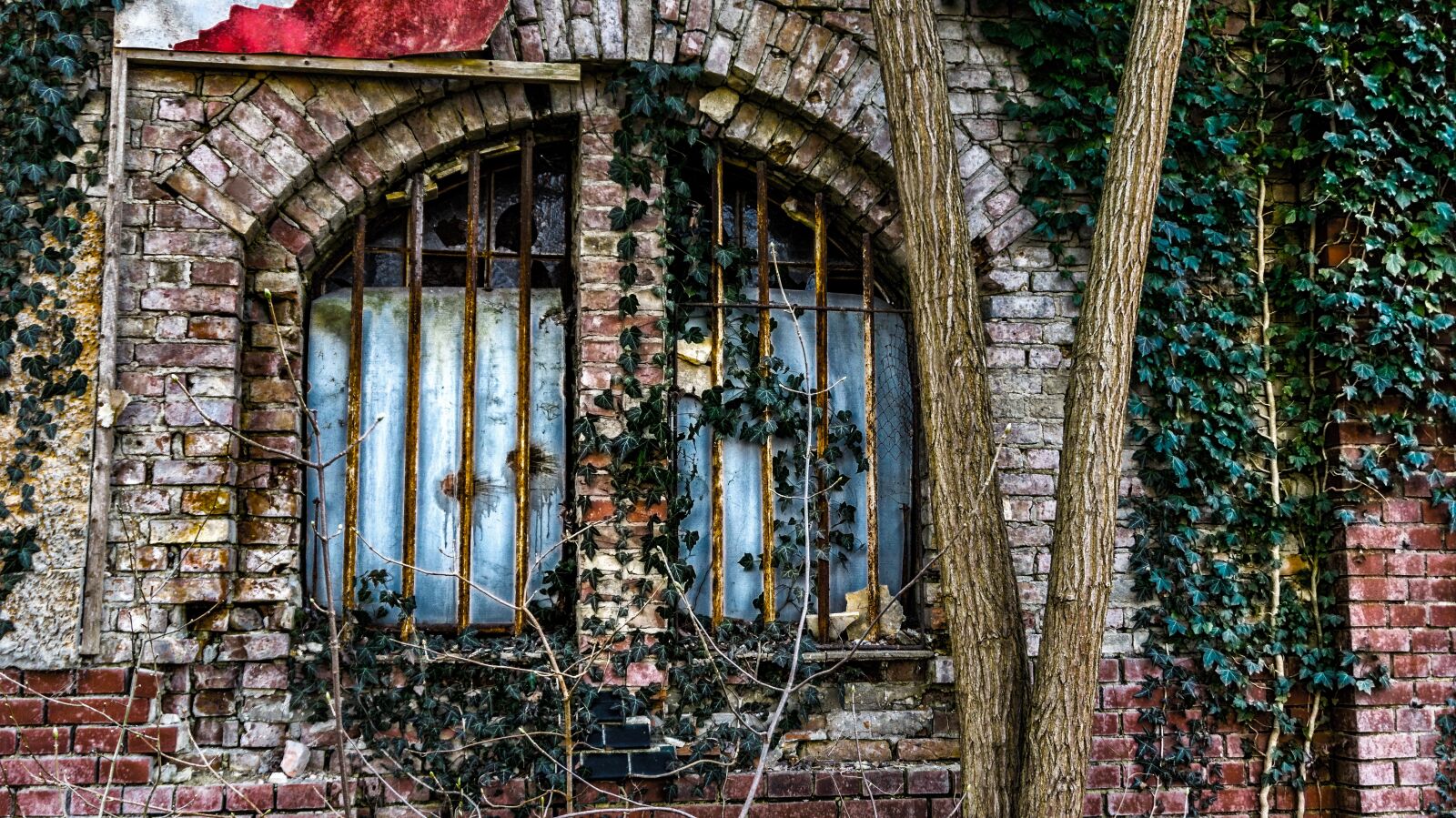 Sony Alpha a5000 (ILCE 5000) sample photo. Old, window, grid photography