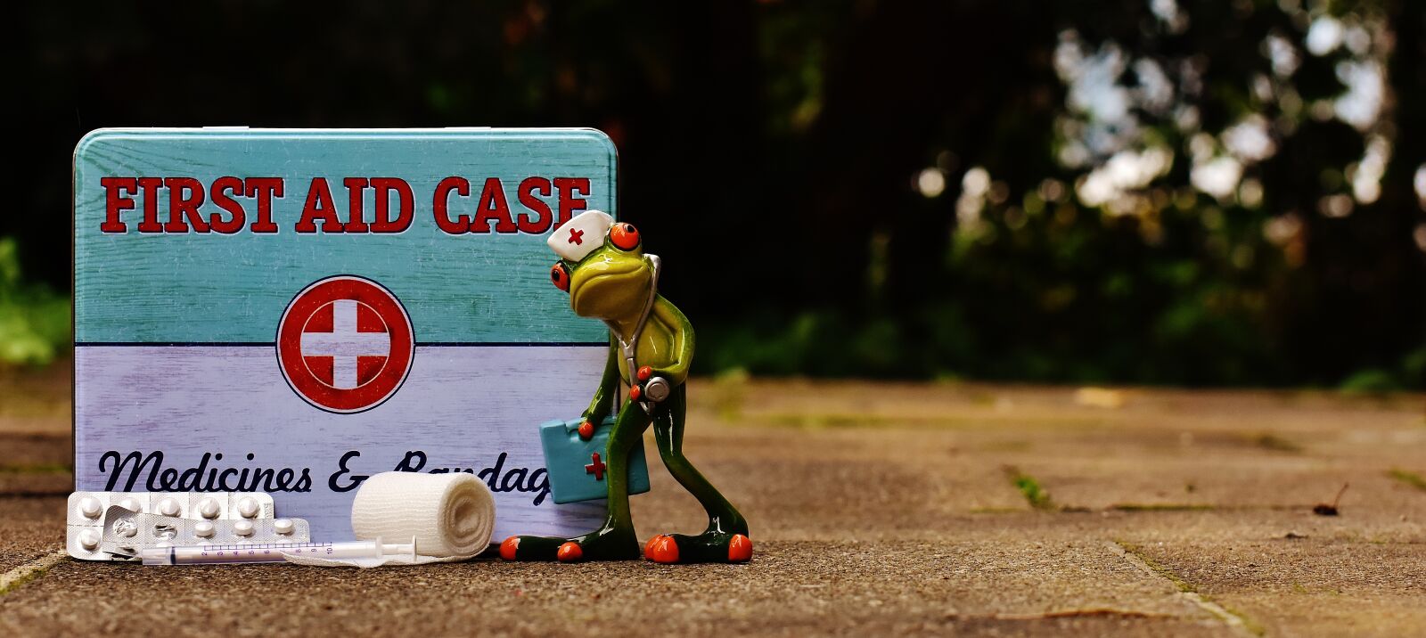 Nikon D7200 sample photo. First aid, frog, medic photography