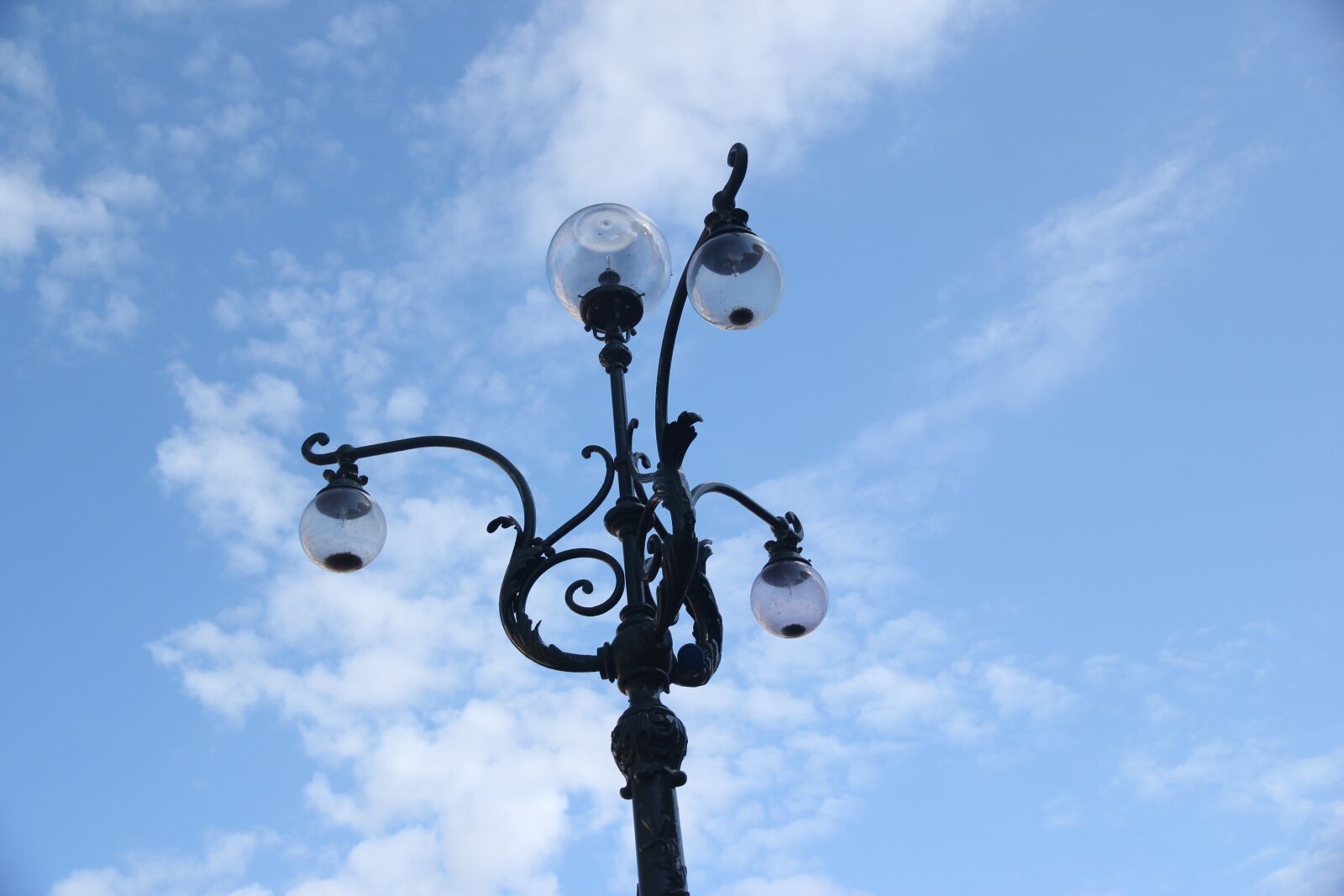 Canon EOS 550D (EOS Rebel T2i / EOS Kiss X4) sample photo. The dome of the photography