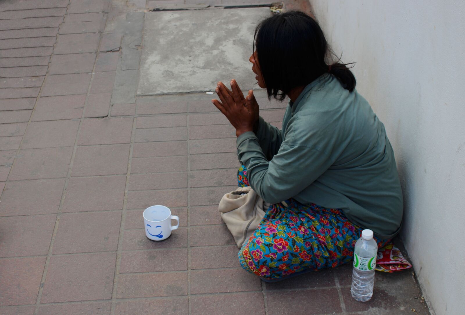 Canon EOS 700D (EOS Rebel T5i / EOS Kiss X7i) sample photo. Beggar, woman, help photography