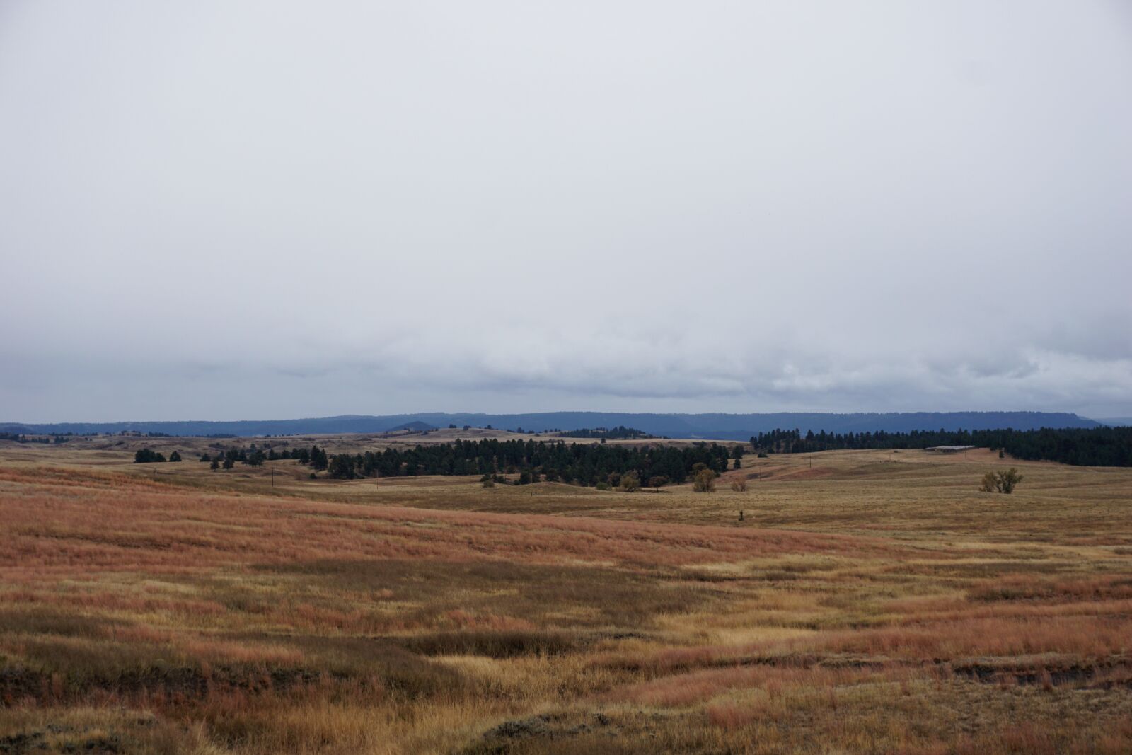 Sony a6000 sample photo. Wyoming, landscape, usa photography