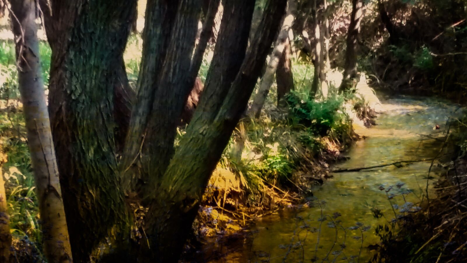 Samsung SM-A300FU sample photo. Water, three, river photography
