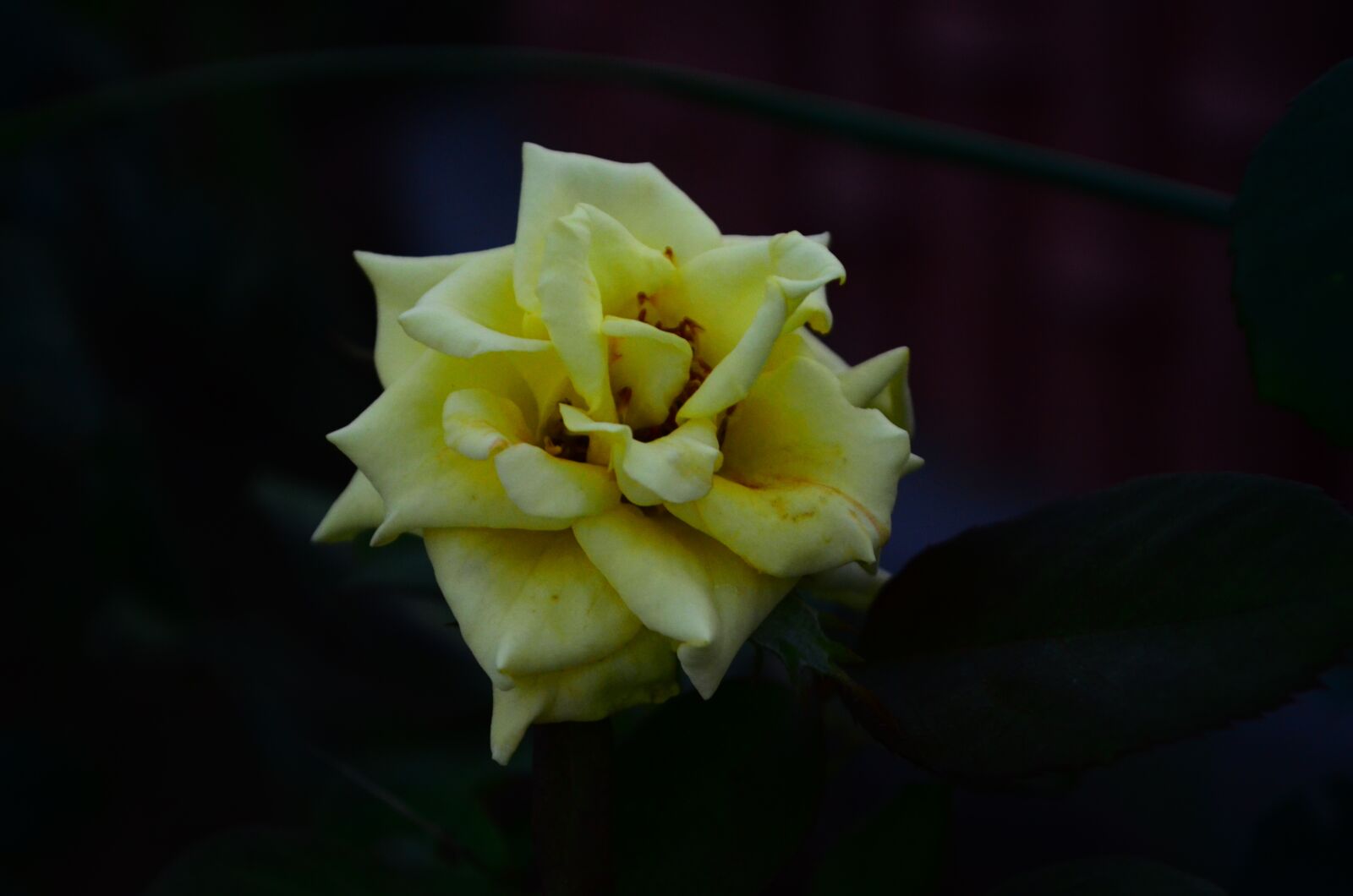Nikon D5100 sample photo. People, nature, lanscape photography