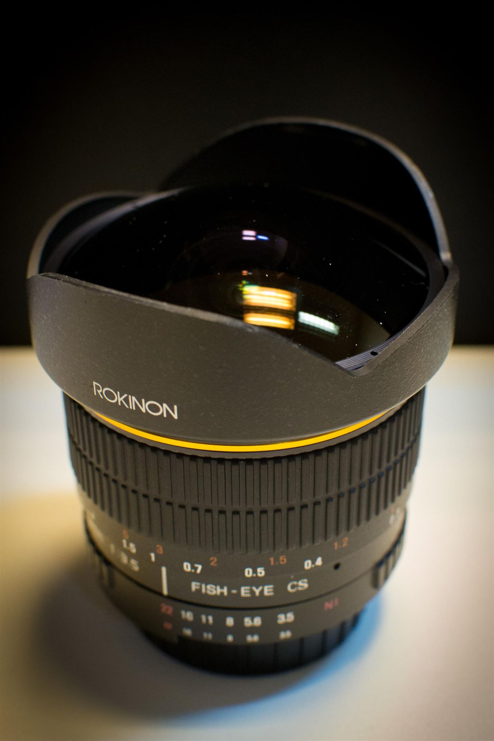 Nikon D3100 sample photo. 8mm, fisheye, lens, rokinon photography