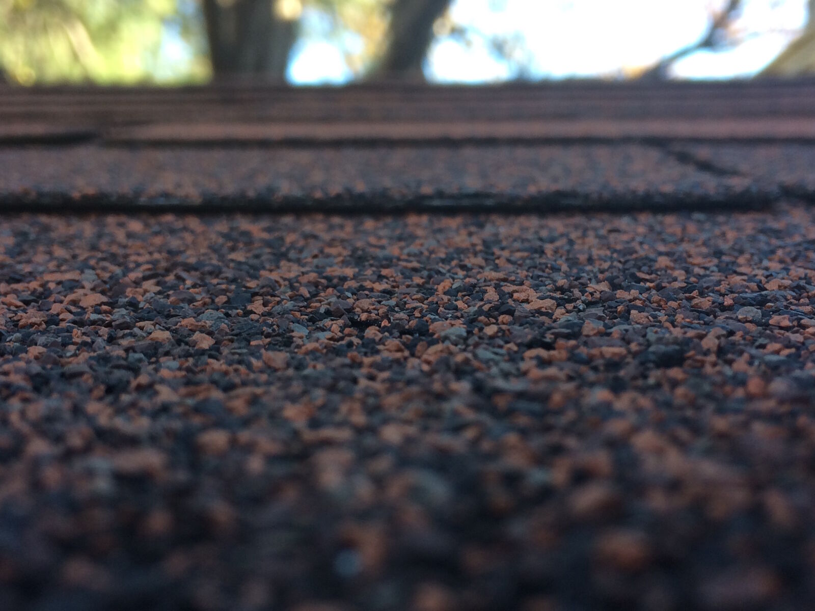 iPhone 5s back camera 4.15mm f/2.2 sample photo. Abstract, blur, bright, day photography