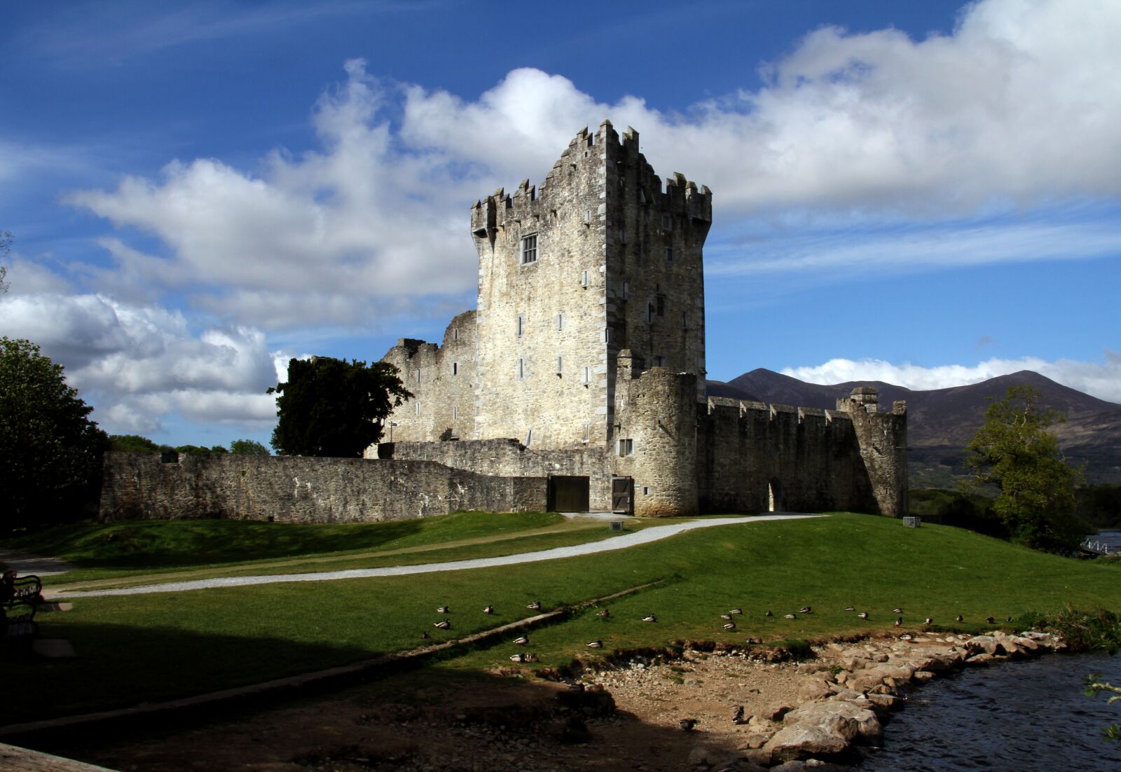 Canon EOS 7D sample photo. Castle, ross, ireland photography