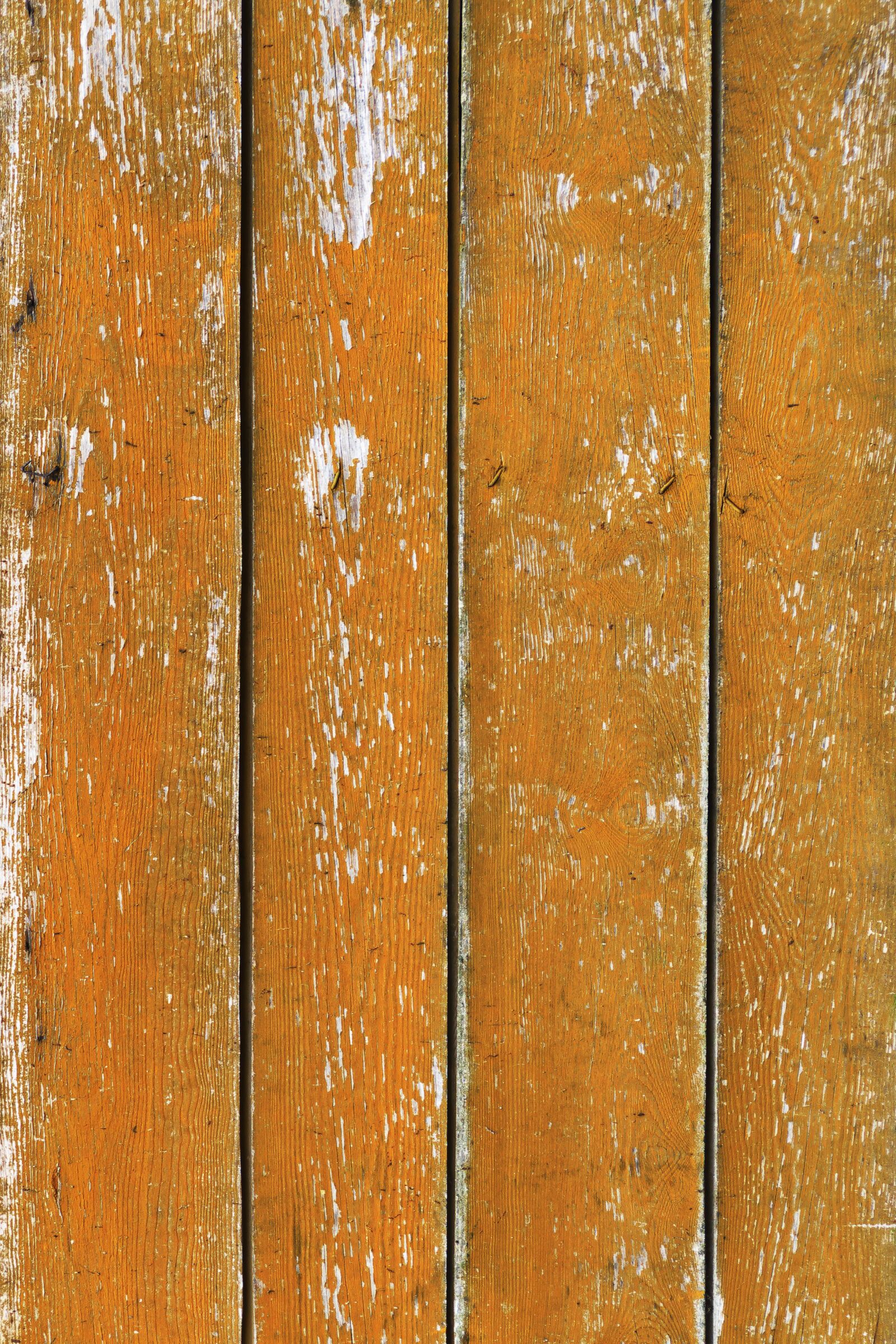 Panasonic Lumix DMC-FZ1000 sample photo. Wood, boards, wooden wall photography
