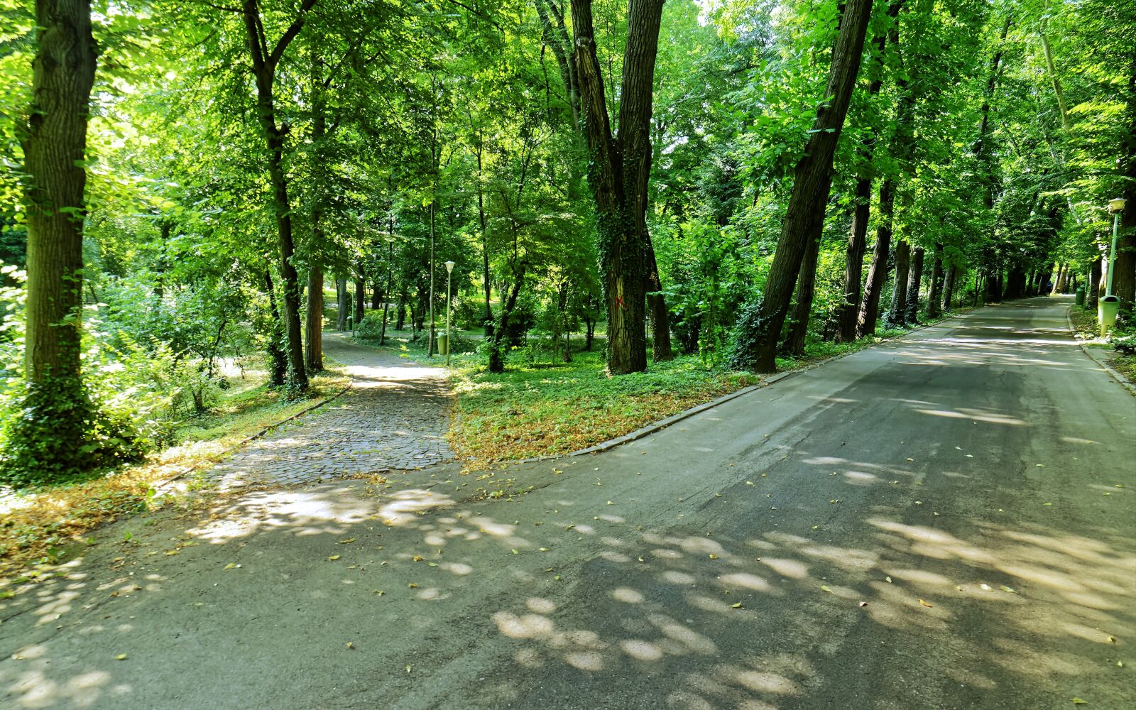 Nikon D5300 sample photo. Landscape, nature, park photography