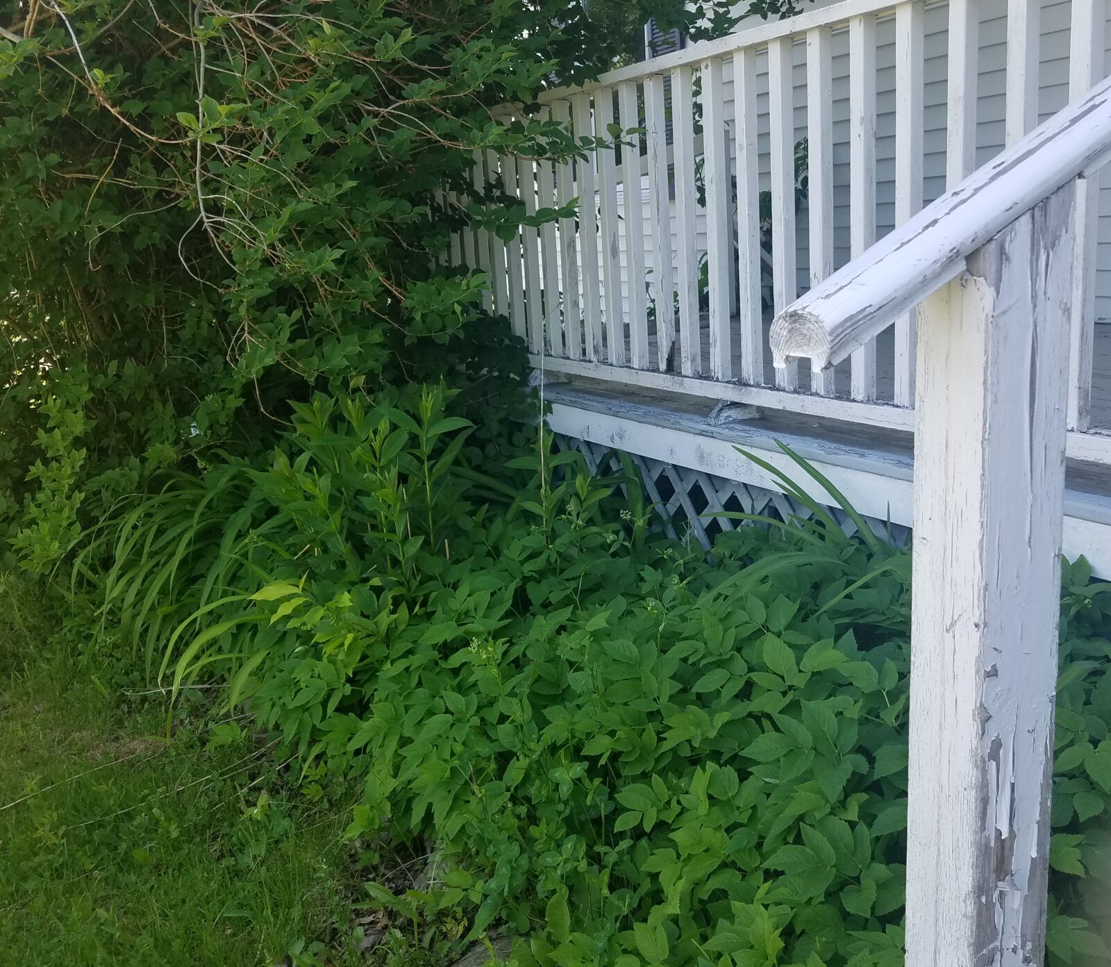 Samsung Galaxy S7 Edge sample photo. Stairs, porches, yards photography