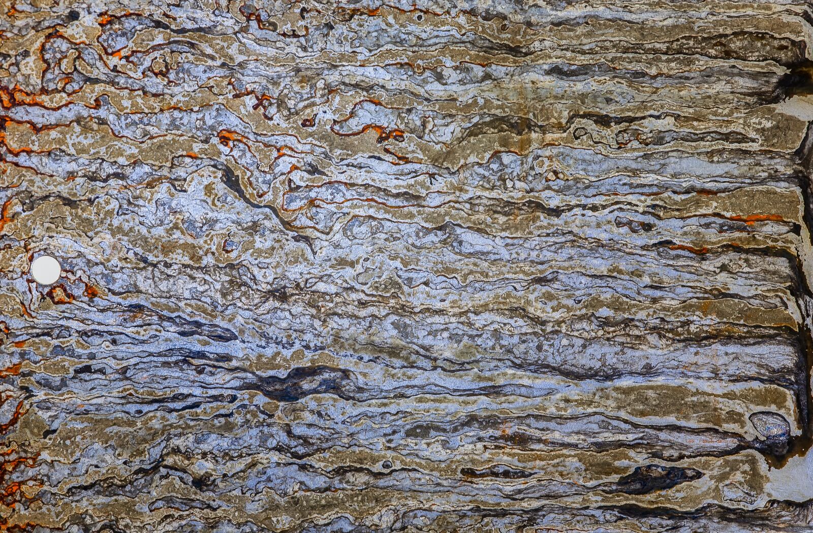 Canon EOS 5D sample photo. Background, texture, pattern photography