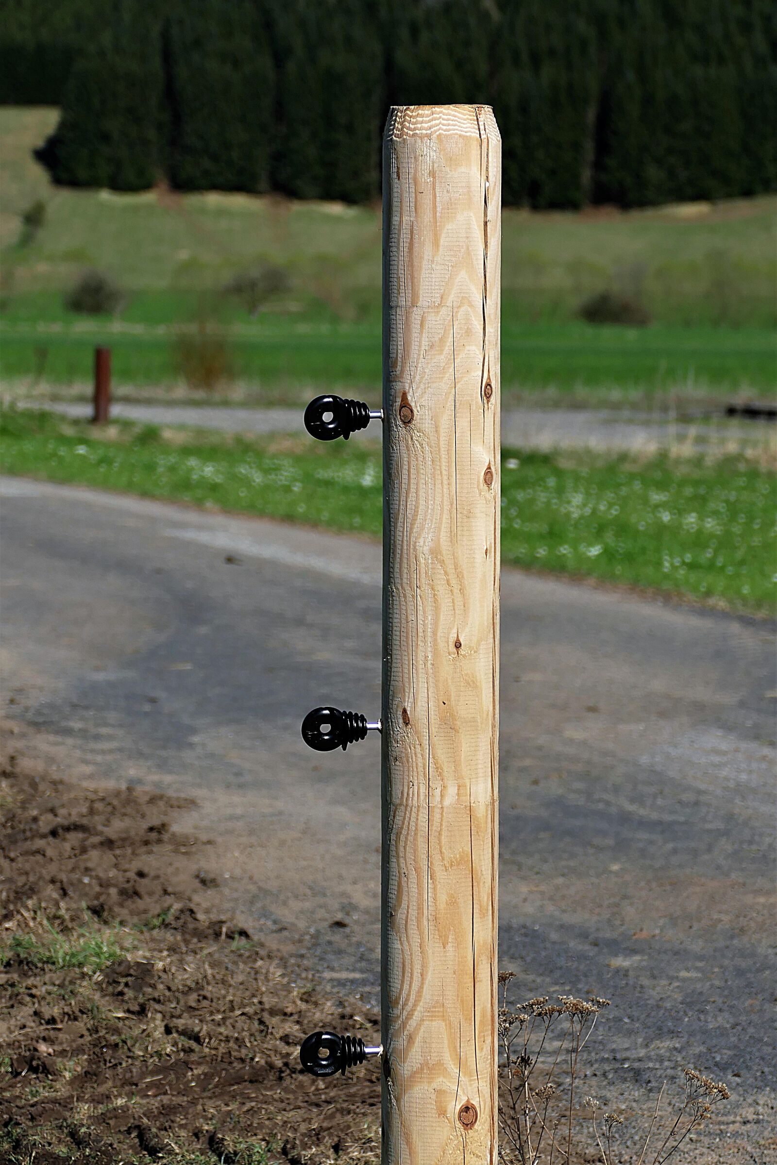 Panasonic Lumix DMC-FZ1000 sample photo. Wooden posts, fence, insulators photography