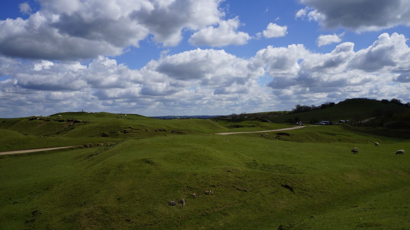 Sony Alpha a3000 sample photo. Meadow, the hills, pasture photography