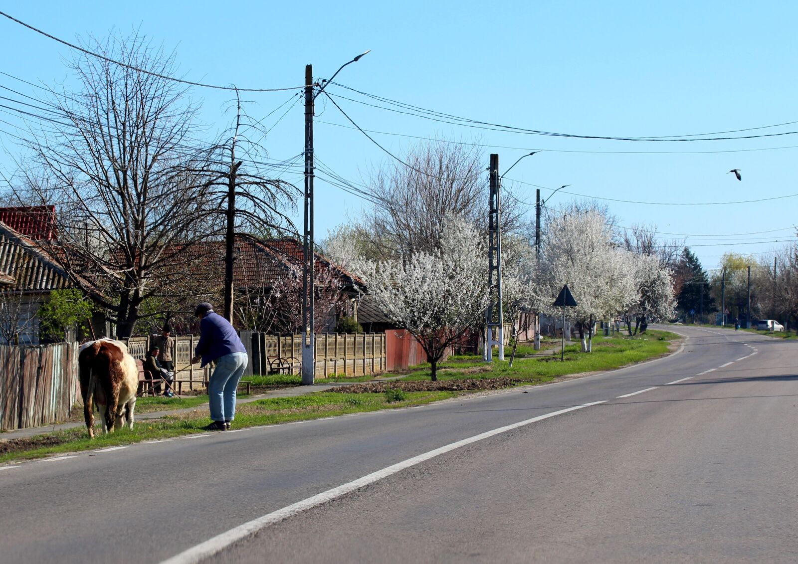 Canon EOS 700D (EOS Rebel T5i / EOS Kiss X7i) sample photo. Street, village, t photography