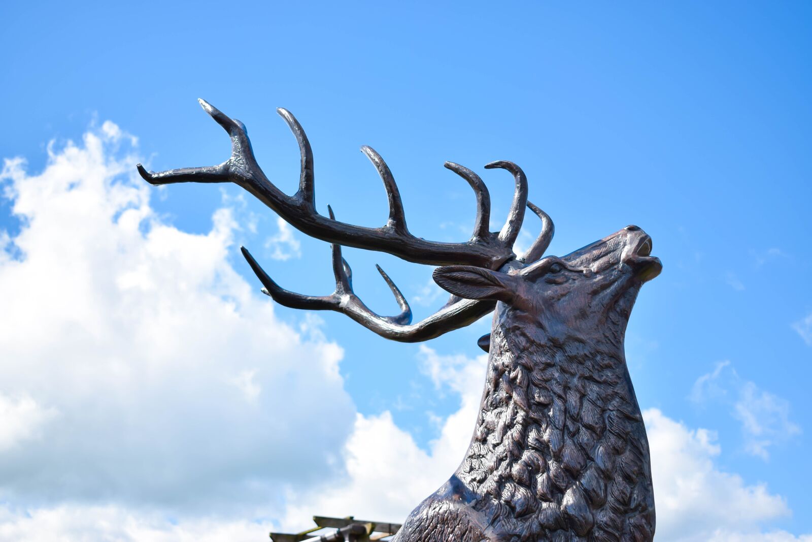 Nikon D3300 sample photo. Deer, statue, blue sky photography