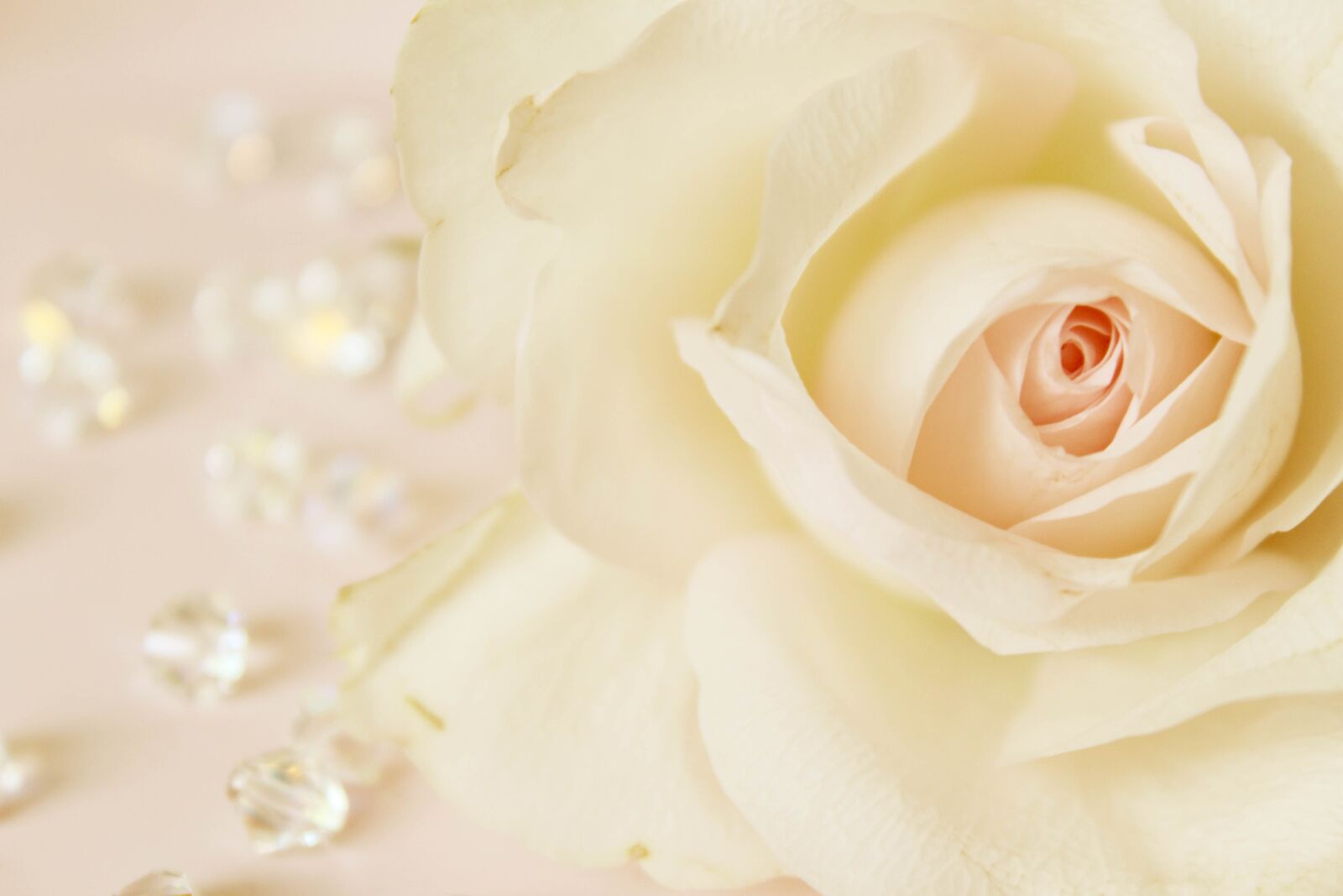 Canon EOS 600D (Rebel EOS T3i / EOS Kiss X5) sample photo. Background, invitation, place card photography