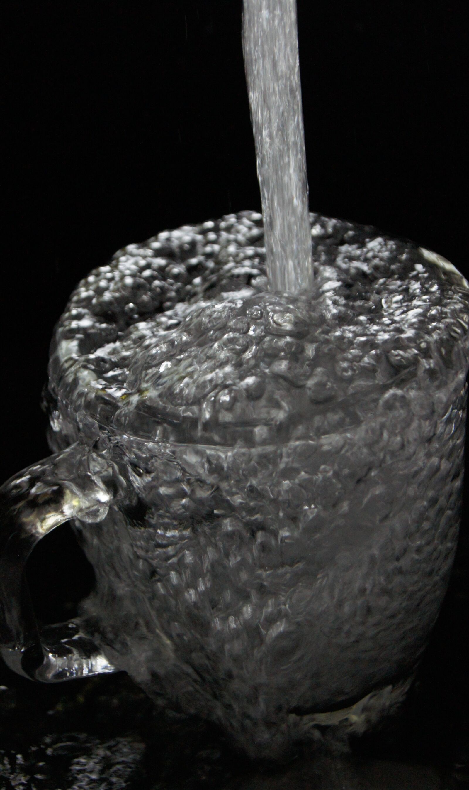 Sony Alpha DSLR-A550 sample photo. Water, food, close up photography