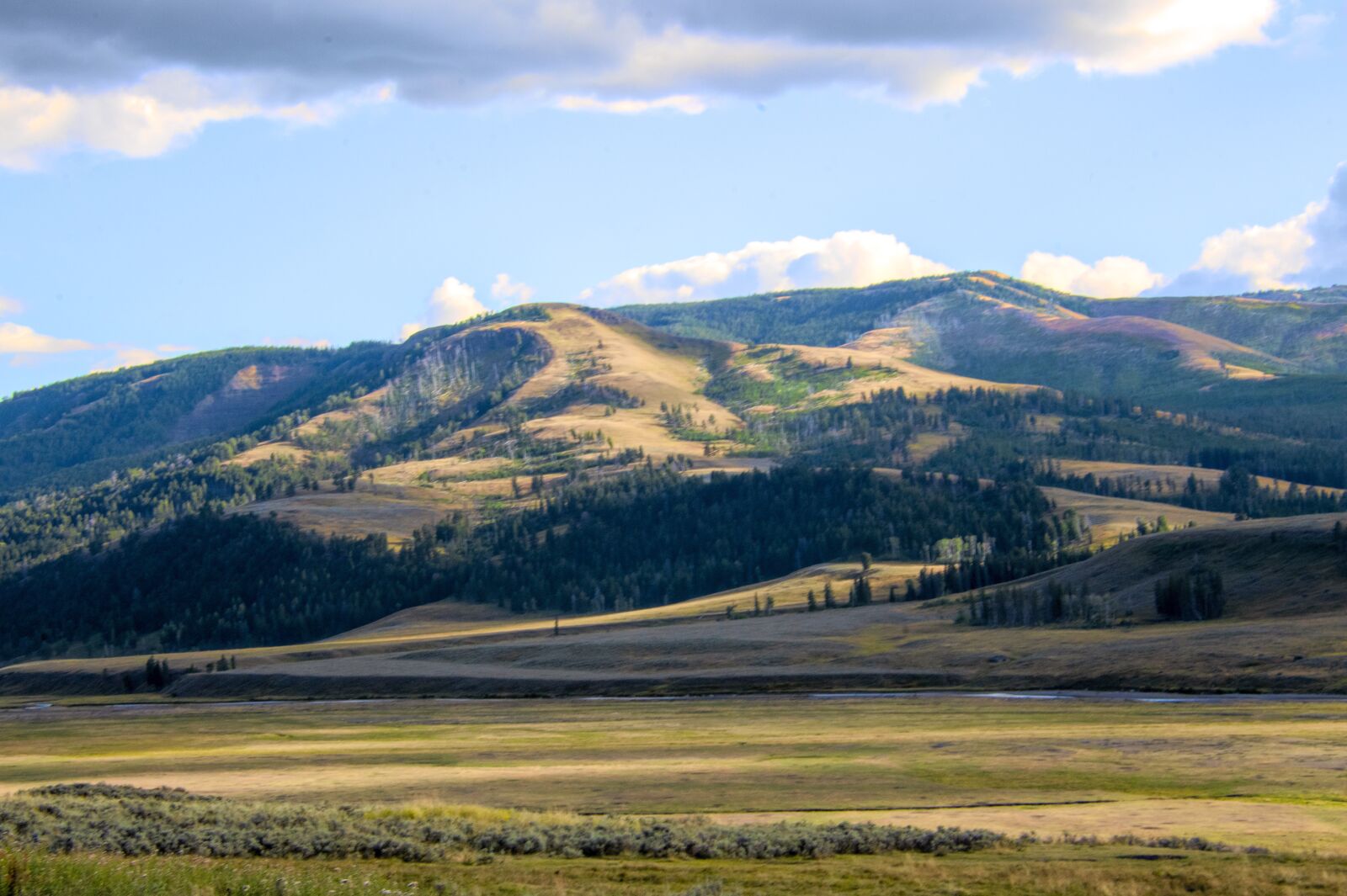 Nikon D850 sample photo. Yellowstone, park, vista photography
