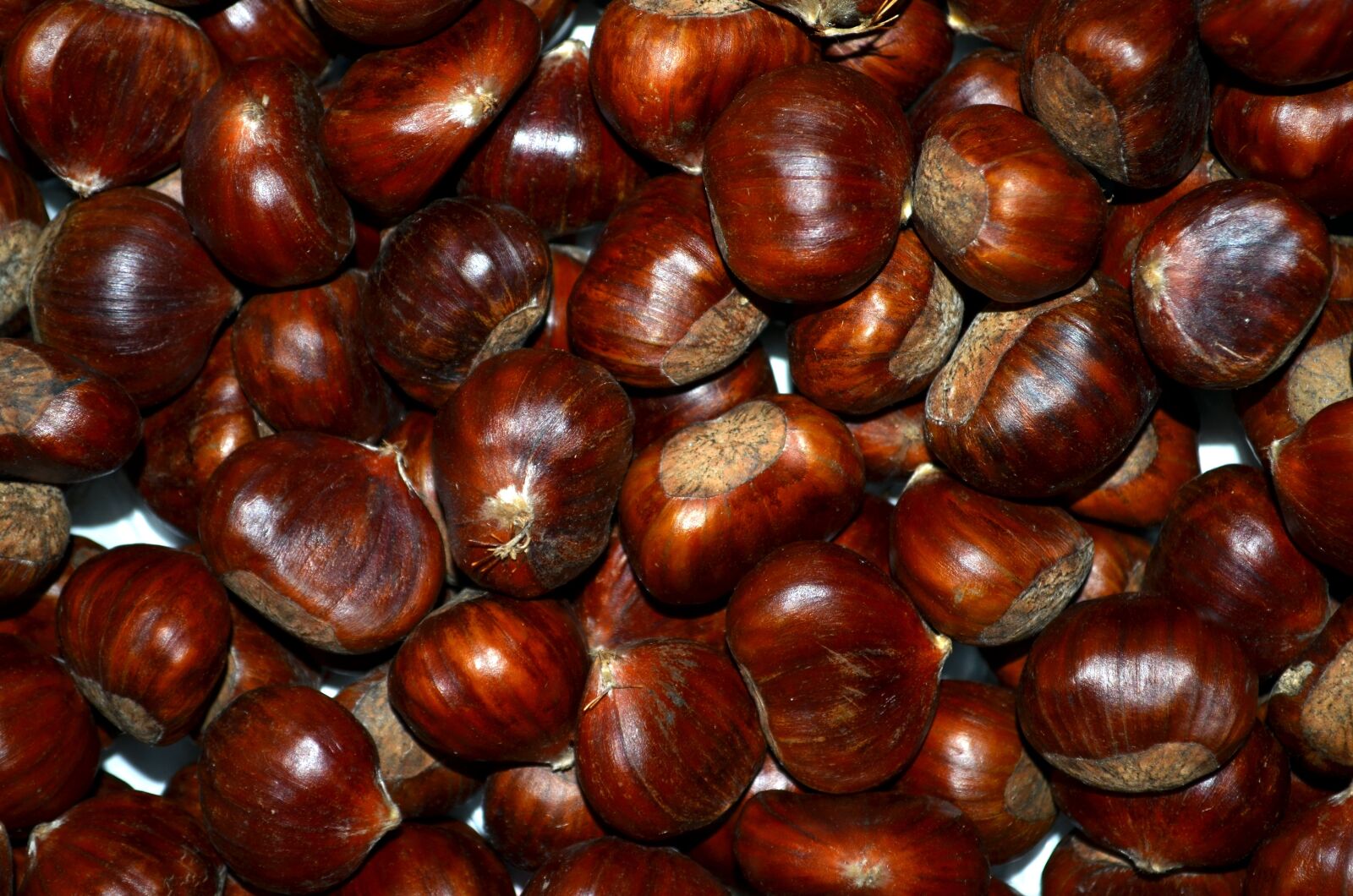 Nikon D5100 sample photo. Chestnuts, autumn, roasted chestnuts photography