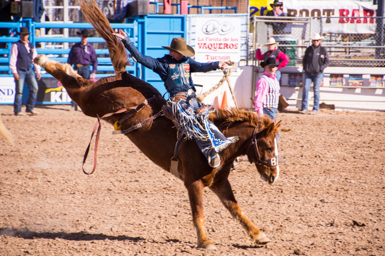 Nikon D7200 sample photo. Western, cowboy, rodeo photography