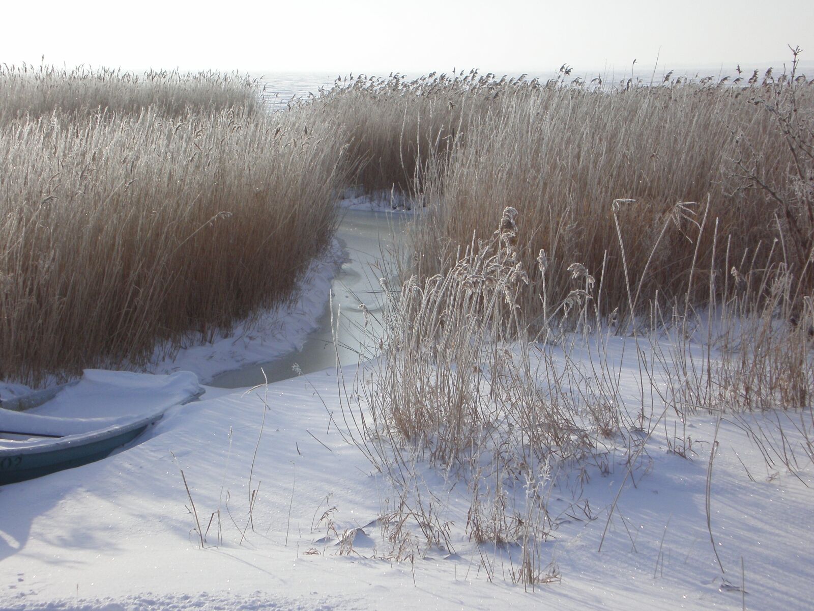 Olympus FE190/X750 sample photo. Winter, wintry, bank photography